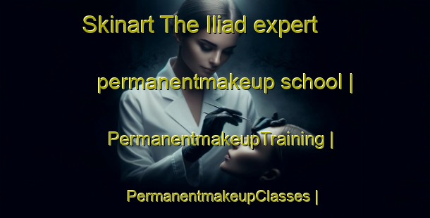 Skinart The Iliad expert permanentmakeup school | PermanentmakeupTraining | PermanentmakeupClasses | SkinartTraining-United States